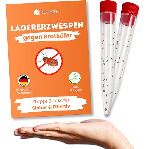 Futeco Lagererzwespen gegen Brotkäfer & Co. für ca. 30 m 100% Chemiefrei für warme und kühle Temperaturen Alternative zu Brotkäferfalle Made in Germany (80 Nützlinge)