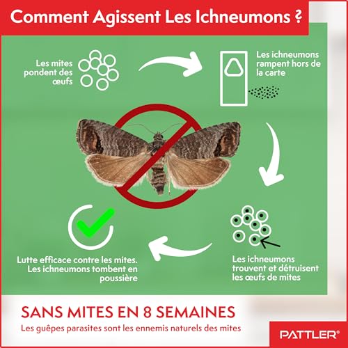 Vignette produit