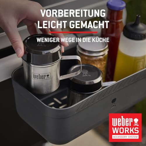 Weber Spirit E-210 Gasgrill, 2 Brenner, 51 x 46 cm Grillfläche, Warmhalterost, Deckelthermometer, 2 Räder - Schwarz/Silber (1500833)