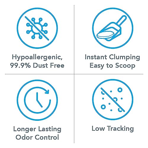 Boxiecat Premium Clumping Clay Cat Litter, Scent Free, 40Lbs - Longer Lasting Odor Control - Hard, Non Stick Clumps - Stays Ultra Clean - 99.9% Dust Free #TOP3
