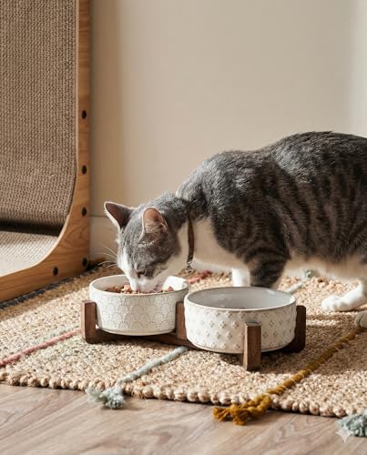 LE TAUCI Hundenäpfe für kleine Rassen, Hundenapf-Set mit Ständer aus Akazienholz, 1,5 Tassen, Futter- und Wassernapf für kleine Hunde und Katzen, beschwerter Hundenapf, Haustiernäpfe