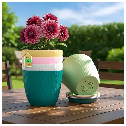 Image of SWAPKART (Pack of 5 6 Inch Plastic Flower Pots for Indoor & Outdoor Terrace,Garden Plants Decorative Planters with Drainage Holes & Matching Saucers Durable & Lightweight (Multicolour)