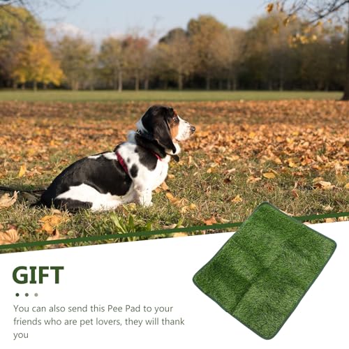 Image of Decorative Pet Pee Pad 27.7 Inch Wear-Resistant Artificial Grass Mat for Puppy Training Indoor Outdoor Use Mat Accessory