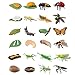 Odowalker 24PCS Life Cycle Figures,Insect Figurines Life Cycle of Monarch Butterfly,Honey Bee,Ladybug,Praying Mantis,Dragonfly,Grasshopper Safariology Bug Figures Kits Educational School Project