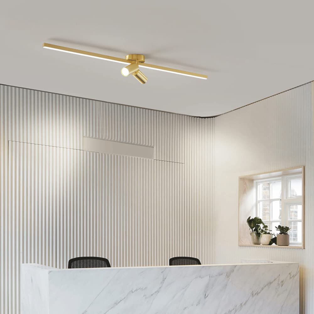 Faretti da soffitto Regolabili, Kit di Illuminazione a Binario Fisso a LED, faretti da soffitto a 2 Vie, faretti direzionali per Cucina, Galleria, corridoio, da