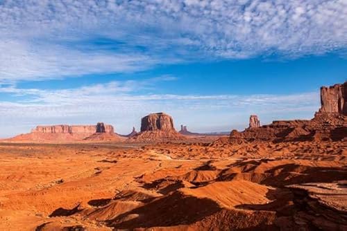 yAJ̕i|XgJ[hzA]iB jgo iozEgCoEp[N ioz̐nQ ͂ tHgJ[hyY photo by daikegoro