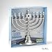 Rite Lite LTD JRN 210 Silvertone Low Voltage Led Menorah, 1 EA