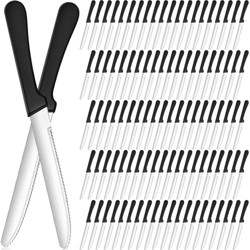 DKALIO 100 PCS 8.9 Inch Serrated Steak Knife Set Bulk Rounded Tip Stainless Steel Steak Knives Sharp Blade Flatware for Restaurant Kitchen Banquets Camping