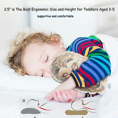Aisawate Toddler Pillow With Pillowcase - Soft Organic Cotton Bed Pillows For Sleeping - 13X18 Small Kids Pillow For Travel, Crib, Bed Set- White Pillows - Machine And Hypoallergenic #TOP1