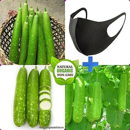 Miniatura 4 de The Rike Semillas de calabaza de botella larga, 30 semillas, semillas de calabash, calabaza de flores blancas, semillas Lauki Doodhi BAU TRAI Dai