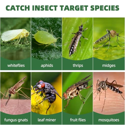 Image of 58 Pack Yellow Sticky Gnat Traps for Plants - Fungus Gnat Killer, Fruit Fly Traps for Indoors, Gnat Sticky Traps for Plants, Family Friendly Design, Ice Cream Shape