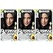 Garnier Hair Color Nutrisse Ultra Coverage Nourishing Hair Color Creme, Deep Soft Black (Black Sesame) 200, Pack of 3