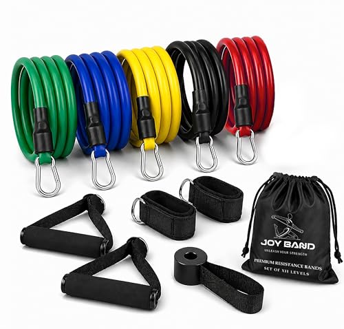 Image of JoyBand Resistance Band Set with Handles | Resistance Tube & Stretch Band for Exercise | Home Workout Fitness Kit with Door Anchor & Ankle Straps | Full Body Strength Training for Men & Women