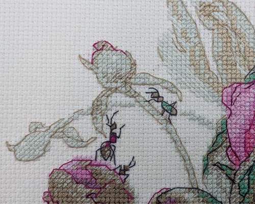 Image of Aine - Peonies. Delight A1009, Cross Stitch Kits 7 inchx6 inch, Cross Stitch Kits for Beginners & Advanced, Crossstitching Kits Adult, Counted Cross Stitch Kits for Adults, Flowers Embroidery Kit