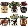 Window Garden Cat Planter Pot 6 Mini Succulent Kitty Pots Cute Flower Pots for Indoor Plants Cat Decor Vase for Cactus Herb Cat Cat Owner Gifts Unique Gifts Gift Set Cat Gift