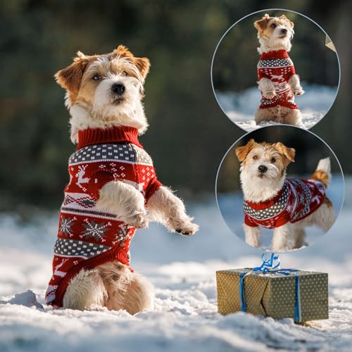 Dog Christmas Jumper - Image 4