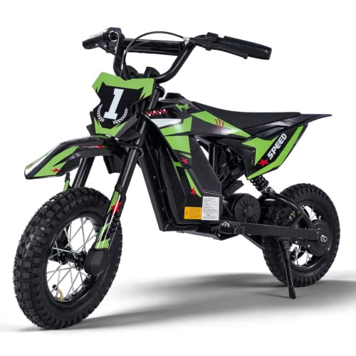 36V Electric Dirt Bike for Kids