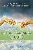 In the Beginning, God: Creation from God's Perspective