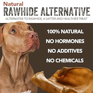 Gaines-Pet-Pig-Ear-Dog-Treats-100-Natural-High-Protein-Low-Fat-Dental-Health-Easy-to-Digest-and-Chemical-Free-All-Dog-Sizes-and-Breeds-40-Count - Cucciolini Doodles   Gaines-Pet-Pig-Ear-Dog-Treats-100-Natural-High-Protein-Low-Fat-Dental-Health-Easy-to-Digest-and-Chemical-Free-All-Dog-Sizes-and-Breeds-40-Count