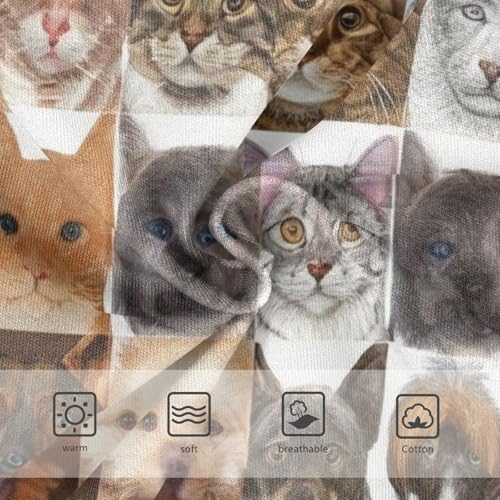 Toddler Girls Underwear 2t Cotton Girl Panties Cute Colorful Underpants Briefs Dog Cat Faces Breeds3