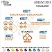 Lot d'autocollants Colnago découpés individuellement Stickers compatibles Kit décalcomanies Personnalisable Couleur