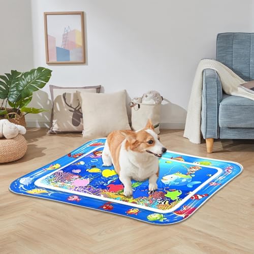Tapis d'eau pour chat de jeu sensoriel pour balcon et salon