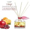Uplift Pomegranate & Citrus Reed Diffuser Refill, 4 oz, Bundle with Uplift Pomegranate & Citrus Reed Diffuser Set - Made with Essential Oils in The USA