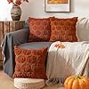 ANRODUO Fall Decorations Pillow Covers 18x18 Set of 2 Halloween Thanksgiving Autumn Harvest Pumpkin Faux Fur Throw Pillows Plush Wool Couch Cushion Case for Proch Sofa Living Room Home Decor Rust #3