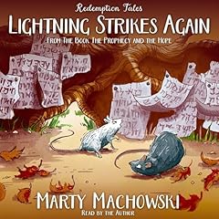 Lightning Strikes Again Audiolibro Por Marty Machowski arte de portada