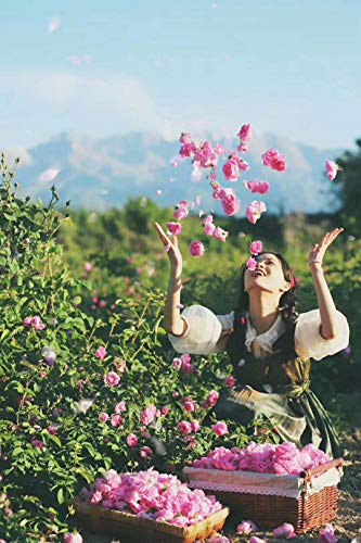 Lambid Dryer Balls Laundry Anti Static - Set Of 6 Xl Handmade Dryer Balls Of Wool Organic Fabric Softener To Replace Dryer Sheets, Gifts For Mom #TOP7