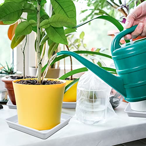 Lnq Luniqi 10 Pcs 6 Inches Square Plastic Plant Saucer Flower Pot Bottom Seat Flower Pot Tray Thick Plastic Drip Tray For Garden Potted Water Drips And Soil （White） #TOP6