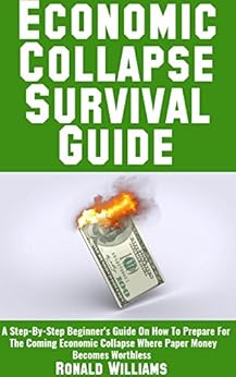 Economic crisis 2020 essay image