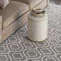 Nourison Jubilant 7'x10' Grey Area Rug, 7' x 10'