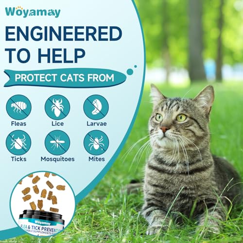 Woyamay Flea and Tick Prevention for Cats, Chewable Flea Treatment for Cats | Natural Cat Flea and Tick Treatment Chews, Daily Oral Cat Flea Treatment, Flea Prevention for Cats, Chicken Flavor, 200 Chews - Image 4