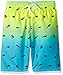 The Children's Place Boys' His Li'l Printed Trunks Swim Shorts