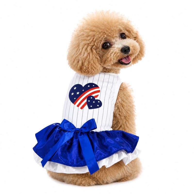 Robe pour chien rayée USA Twins Heart XXXL pour les balades