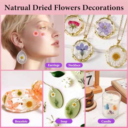 Image of NESCCI 210 Pcs Dried Pressed Flowers for Resin,Real Nature Dried Flowers for Crafts Bulk Dry Flowers Leaves Kit Used for Resin Molds Scrapbooking DIY Art Crafts Candle Soap Making Nails Decor