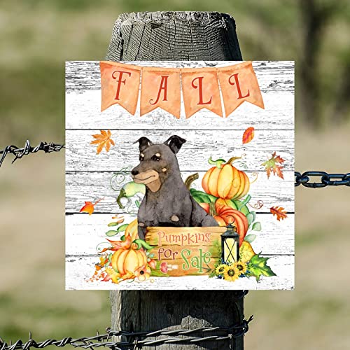 Tableau bois rustique Fall Pumpkins de qualité pour maison 35cm