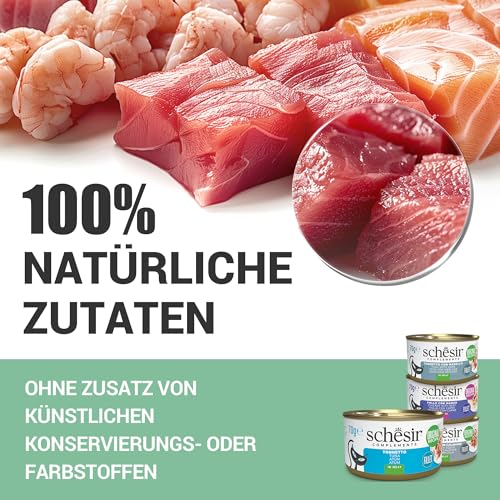 Schesir, Thunfischfilets in Gelee, ergänzendes Nassfutter für Katzen, Originalrezept, 100% natürlich, 12 Beutel à 70 g