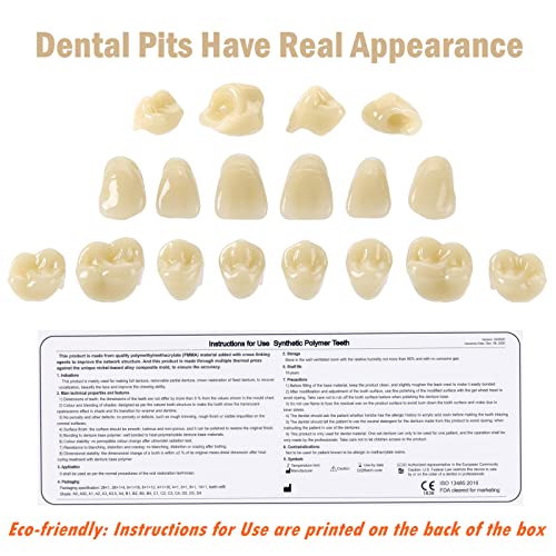 Image of Dental Acrylic Resin Denture False Teeth Shade A3, T8 Synthetic Polymer Resin Fake Teeth for Replacement, Halloween, DIY (28 Pcs /Set)