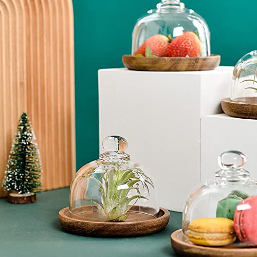 Burriere Piatto in legno Piatto di burro con coperchio di vetro Cake Destert burro Box Housewares Decorazioni da cucina Festive Party Party Stoviglie creative Contenitore per Burro