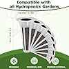 Lettuce Seed Pods for All Hydroponics Growing System, 8 Pods with 600+ Seeds of Romaine/Butter Head/Red&Green Leaf/Black Seeded Simpson/Red Sail and Marvel of 4 Seasons #4