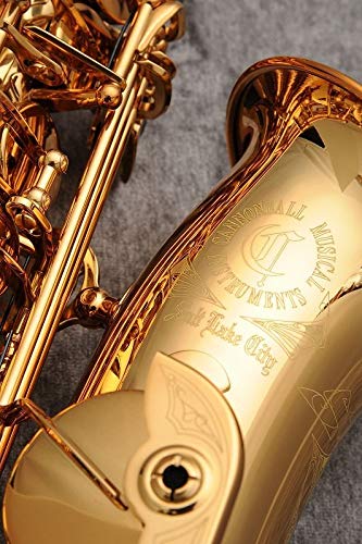 Amazon | Cannonball キャノンボール アルトサクソフォン Sceptyr Semi