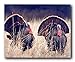 Pair Of Wild Turkeys Animal Bird Hunting Art Print Poster (16x20)
