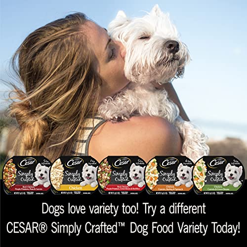 Image of Cesar Simply Crafted Adult Wet Dog Food Toppers for Dry Food,Chicken,1.3 oz Tubs,24 Count (Pack of 2)