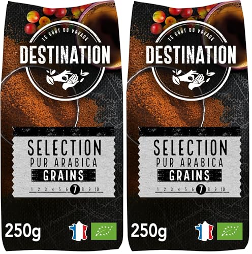 Destination - Café Ecológico en Grano de Especialidad 100% Arábica - 250 g - Orgánico - Tostado Artesanalmente - Ideal Solo o Con Leche - Intensidad Alta (Paquete de 2)