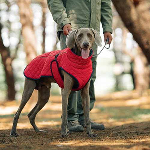 Manteaux pour chiens imperméables chauds réfléchissants pour la marche - 4