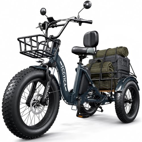 tccyica Electric Tricycle with Hydraulic Brakes