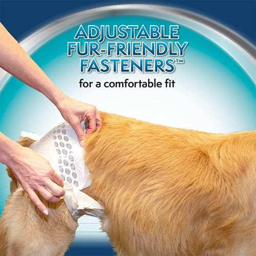 Image of Simple Solution Disposable Diapers for Dogs, Insta Shield Core, Leak-Proof, Fur-Friendly Fasteners, Ideal for Females in Heat, Incontinence & Travel - Pack of 12 (M)