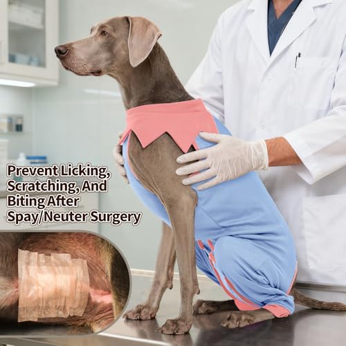 Image of FUAMEY Dog Recovery Suit with Rear Leg Sleeve Dog Onesie After Surgery